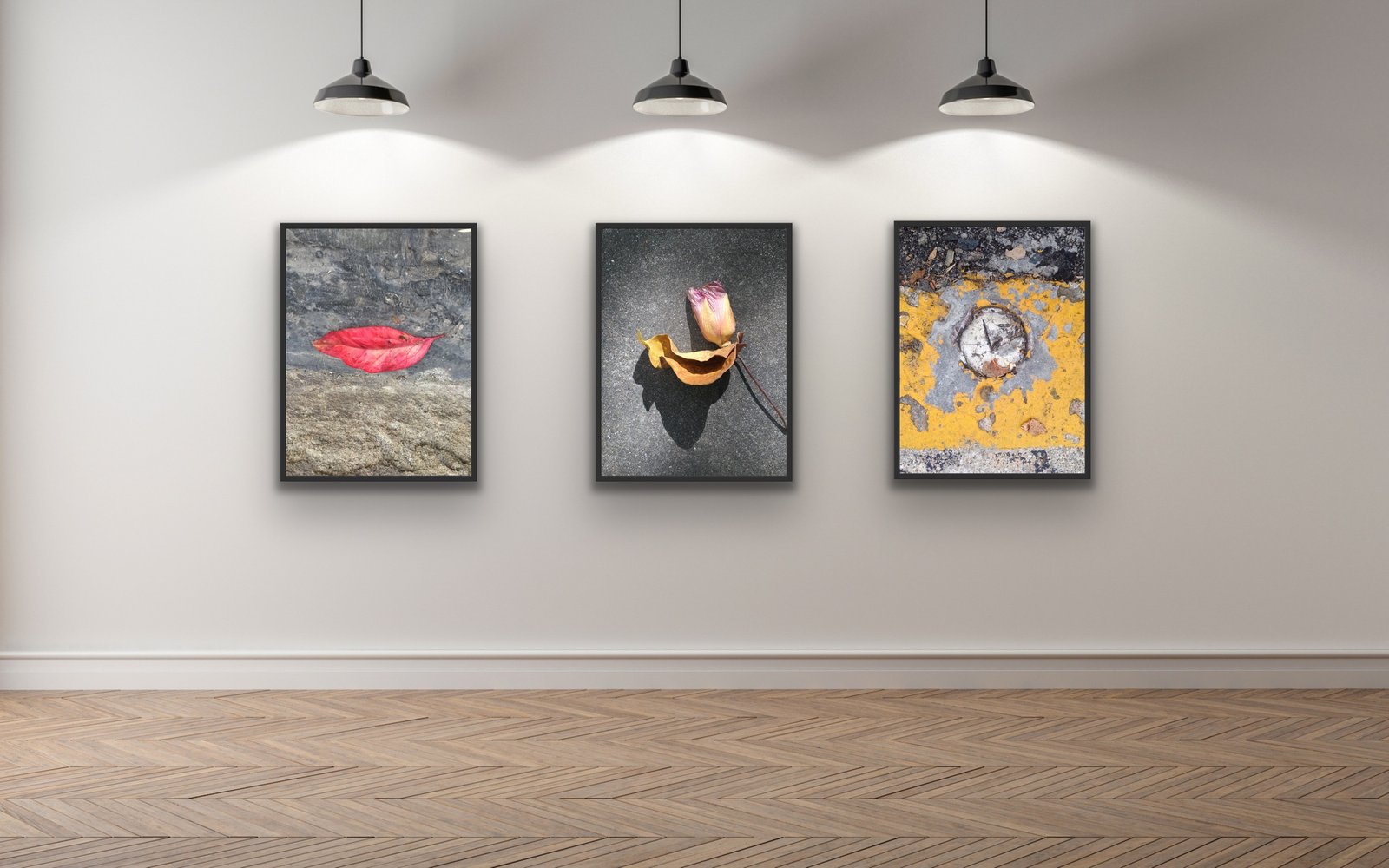 SDWLK ART prints displayed in a contemporary interior